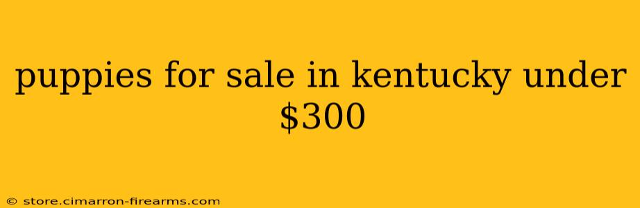 puppies for sale in kentucky under $300