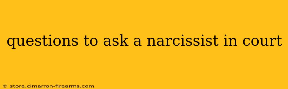 questions to ask a narcissist in court