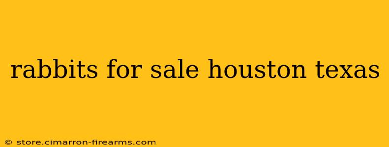 rabbits for sale houston texas