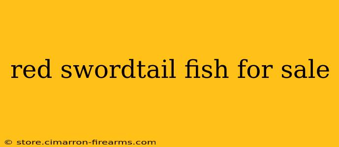 red swordtail fish for sale