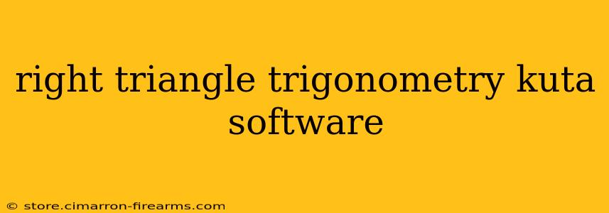 right triangle trigonometry kuta software