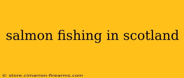 salmon fishing in scotland