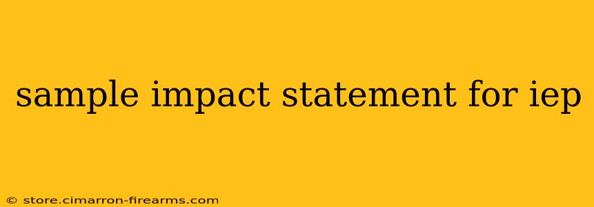 sample impact statement for iep