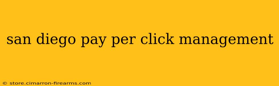 san diego pay per click management