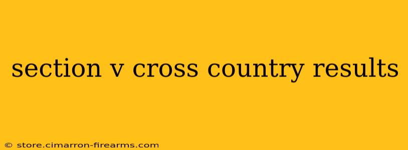 section v cross country results