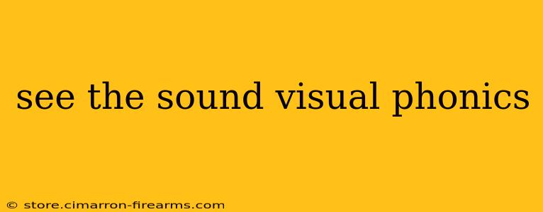 see the sound visual phonics