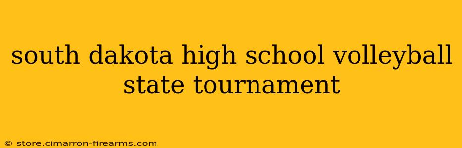 south dakota high school volleyball state tournament