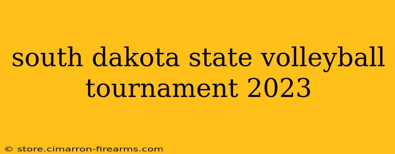 south dakota state volleyball tournament 2023