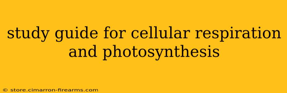 study guide for cellular respiration and photosynthesis