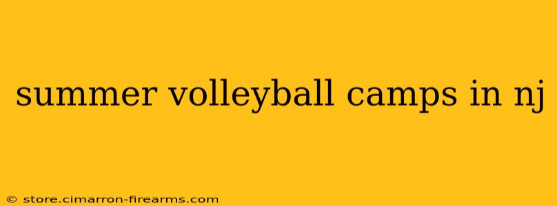 summer volleyball camps in nj