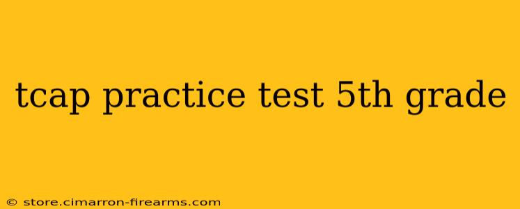 tcap practice test 5th grade