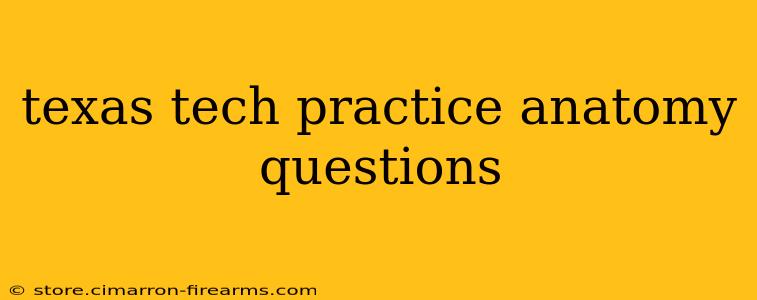 texas tech practice anatomy questions