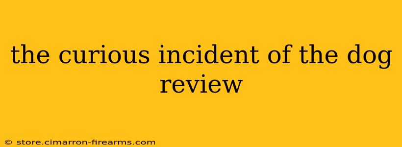 the curious incident of the dog review