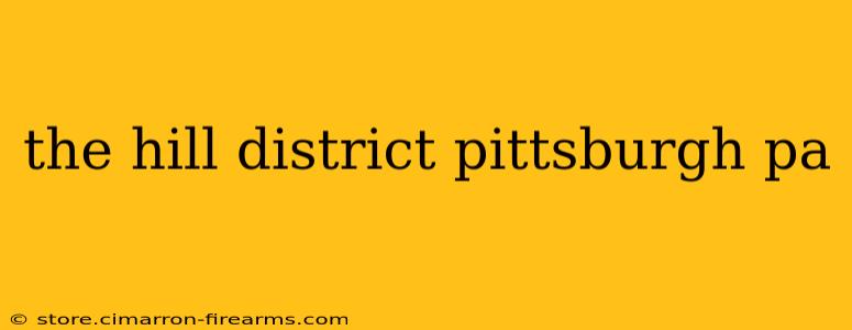 the hill district pittsburgh pa