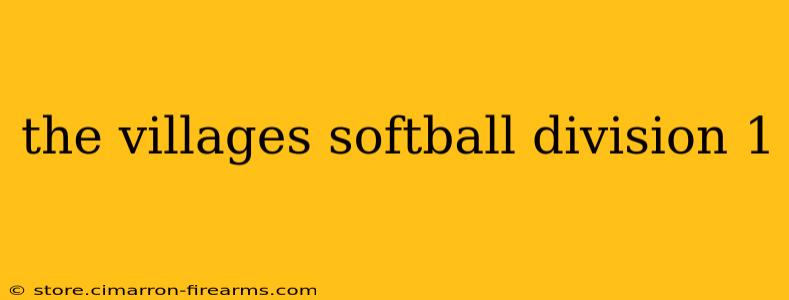 the villages softball division 1