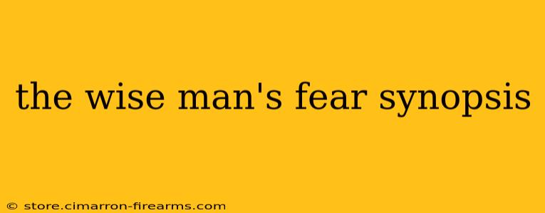 the wise man's fear synopsis