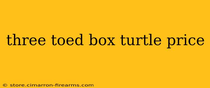 three toed box turtle price