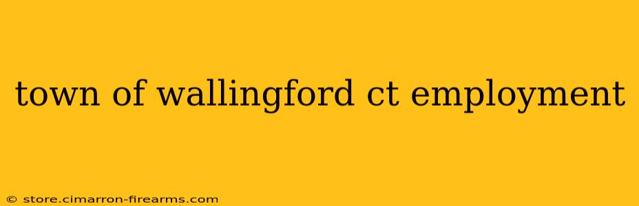 town of wallingford ct employment