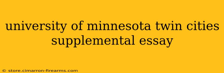 university of minnesota twin cities supplemental essay