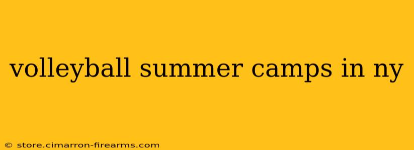 volleyball summer camps in ny