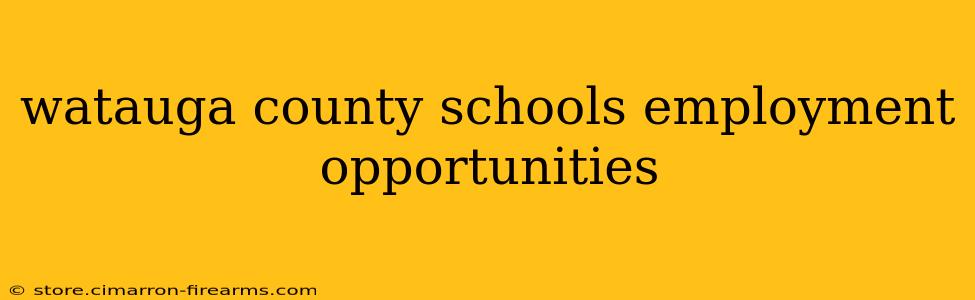 watauga county schools employment opportunities