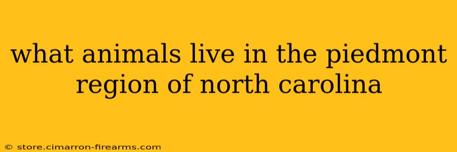 what animals live in the piedmont region of north carolina