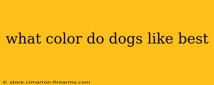 what color do dogs like best