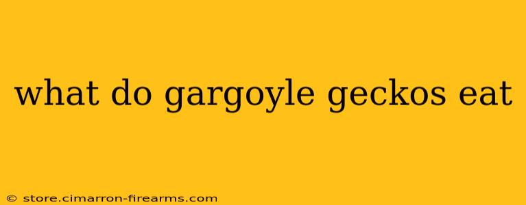 what do gargoyle geckos eat