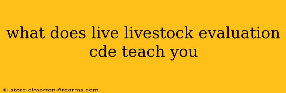 what does live livestock evaluation cde teach you