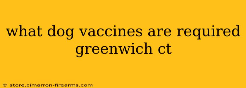 what dog vaccines are required greenwich ct