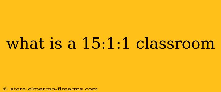 what is a 15:1:1 classroom