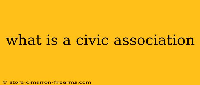 what is a civic association