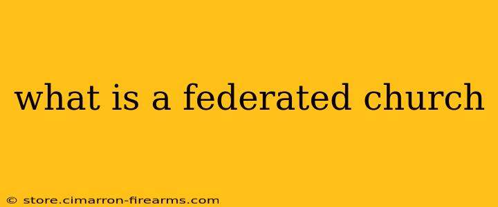 what is a federated church