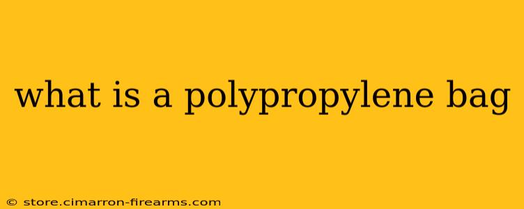 what is a polypropylene bag