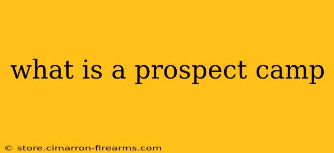 what is a prospect camp