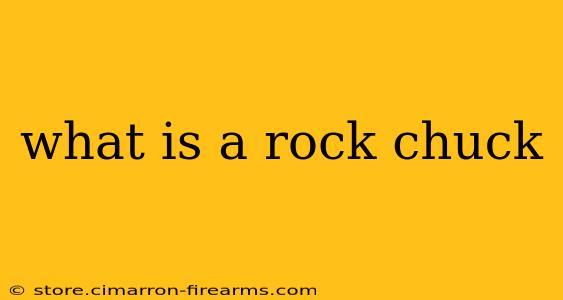 what is a rock chuck