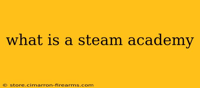 what is a steam academy