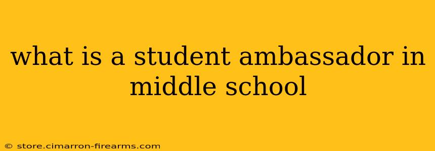 what is a student ambassador in middle school