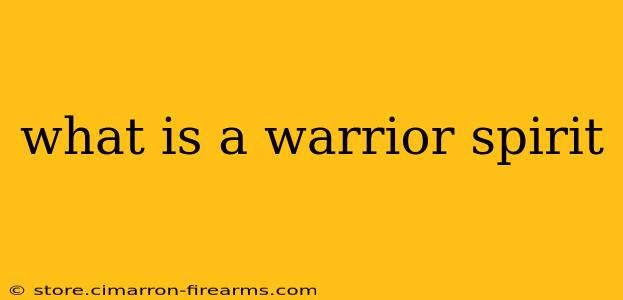 what is a warrior spirit