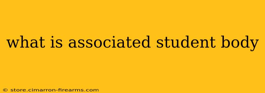 what is associated student body