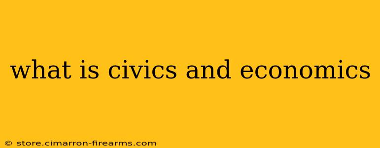 what is civics and economics