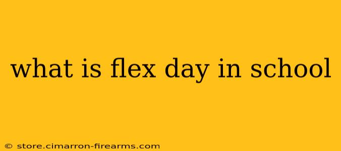 what is flex day in school