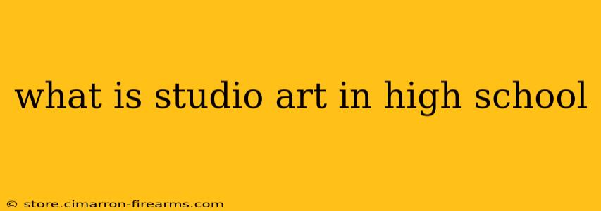 what is studio art in high school