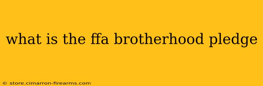 what is the ffa brotherhood pledge