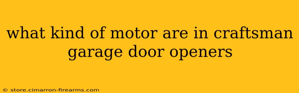 what kind of motor are in craftsman garage door openers