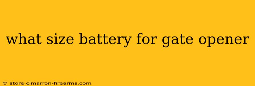 what size battery for gate opener