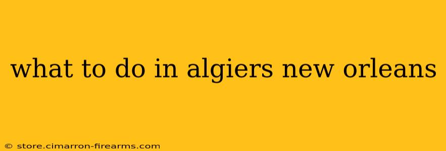 what to do in algiers new orleans