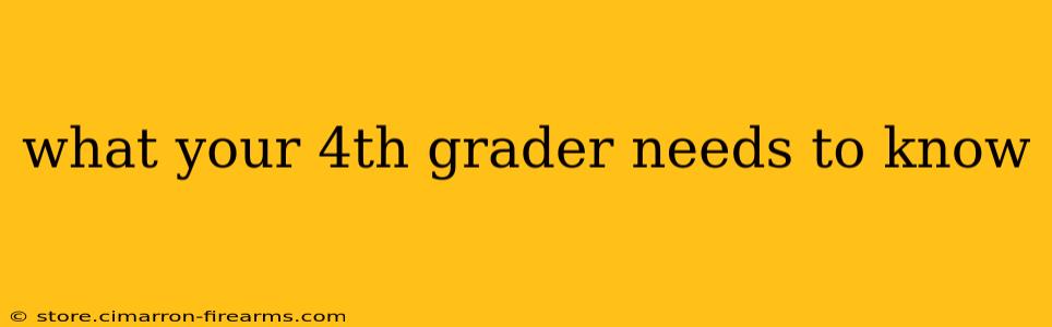 what your 4th grader needs to know