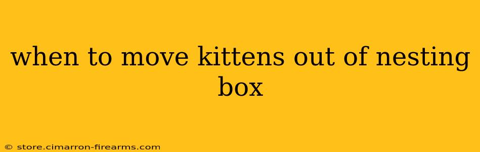 when to move kittens out of nesting box