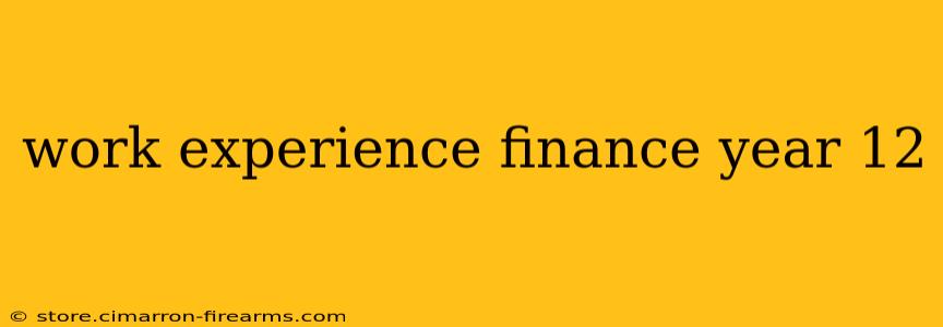 work experience finance year 12